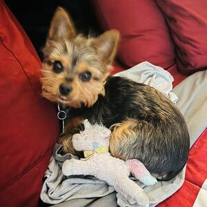 MOST AMAZING SHARE SHOW OF THIS YEAR!!!   Random Quick List Freebies